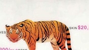 Bangladesh Biodiversity